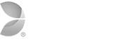 Evolution